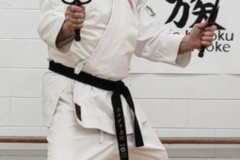 sai1