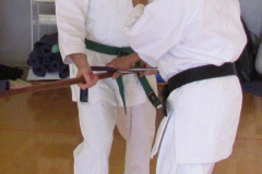 Sai