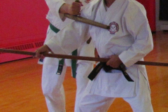 Tonfa
