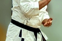 Sensei Girard